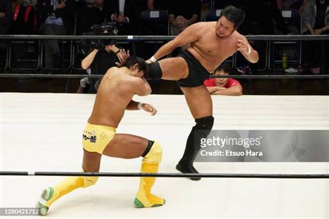 japanese mixed wrestling|Gleat